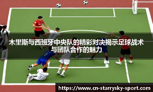 星空体育官网